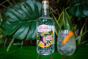 Cloud Forest Gin